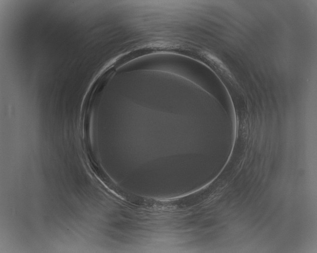 X0000072920484200607211105