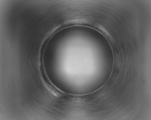 X0000072920486200607211105