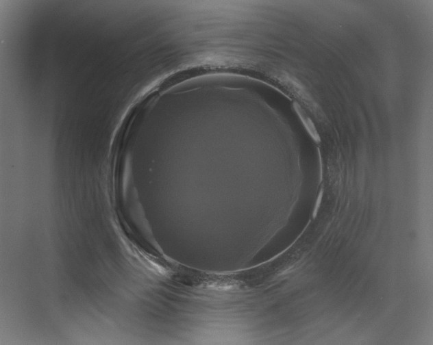 X0000072920488200607211105