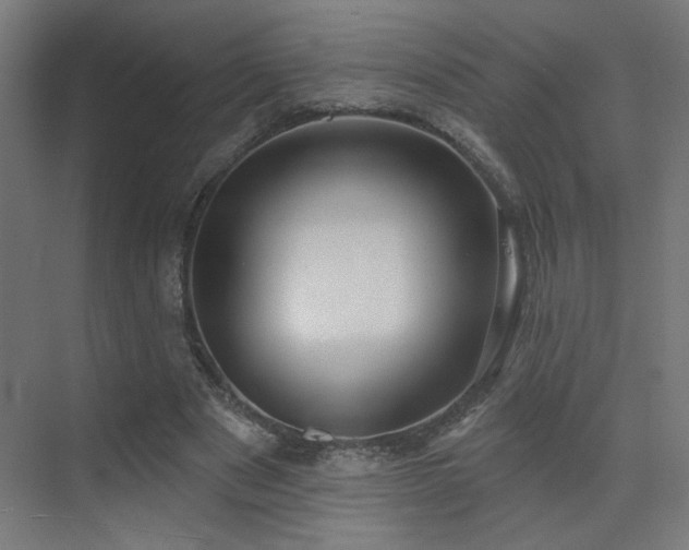 X0000072920489200607211105