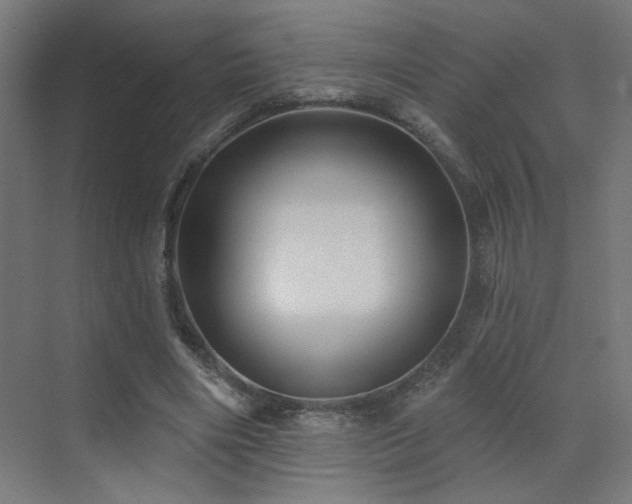 X0000072920490200607211105