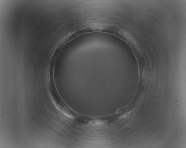 X0000072920492200607211105