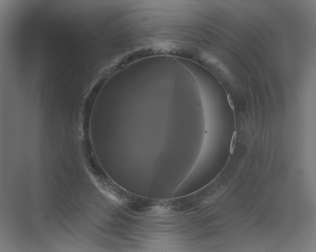 X0000072920496200607211105