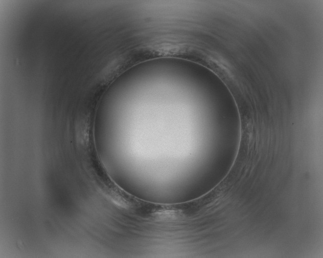 X0000072920499200607211105