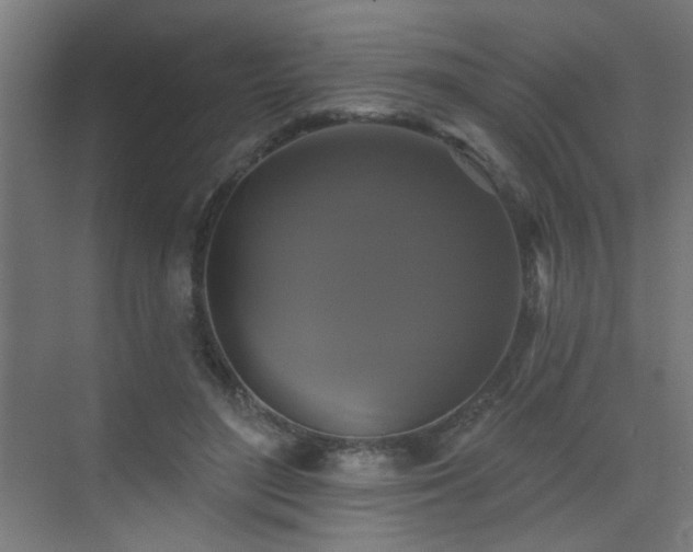 X0000072920500200607211105