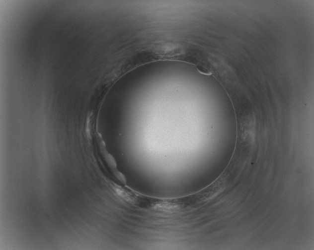 X0000072920515200607211104