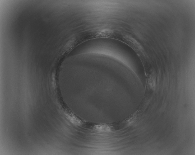 X0000072920520200607211104