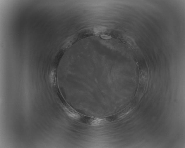 X0000072920527200607211104
