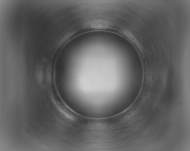 X0000072920533200607211103
