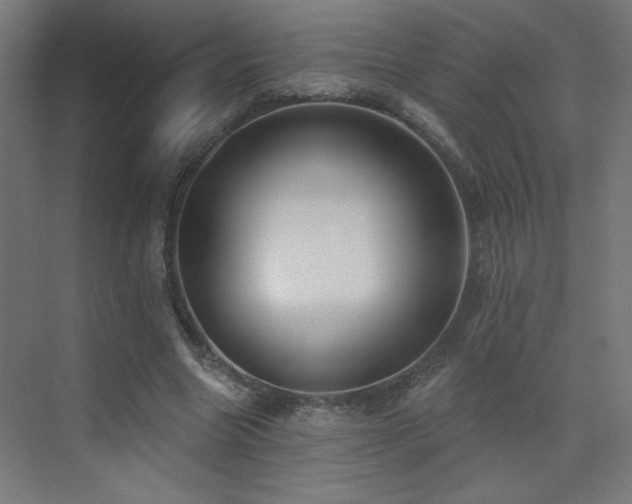 X0000072920538200607211103
