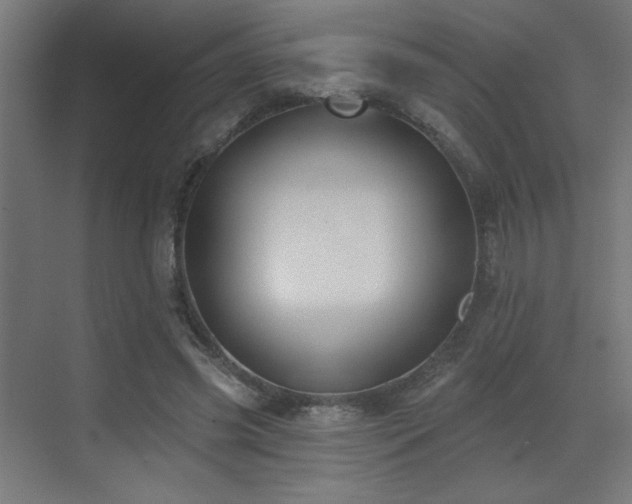 X0000072920541200607211104