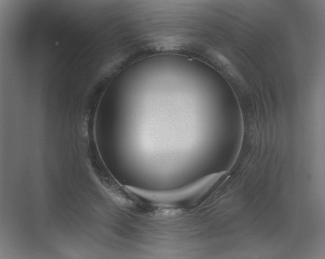 X0000072920543200607211104
