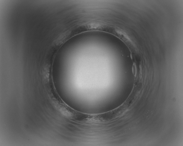 X0000072920545200607211104