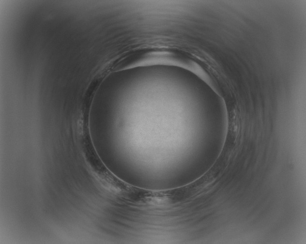 X0000072920552200607211104