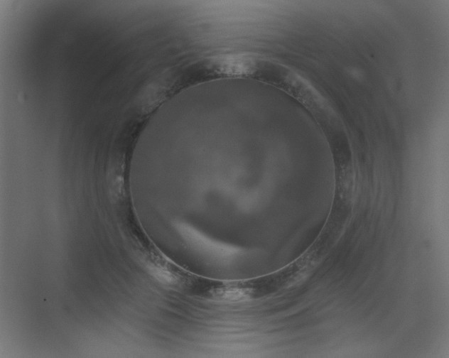 X0000072920553200607211104