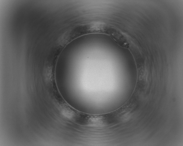 X0000072920560200607211104