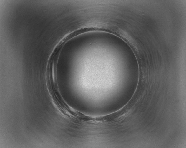 X0000072920580200607211103