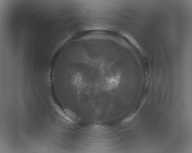 X0000072920585200607211103