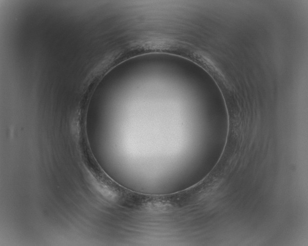 X0000072920586200607211103