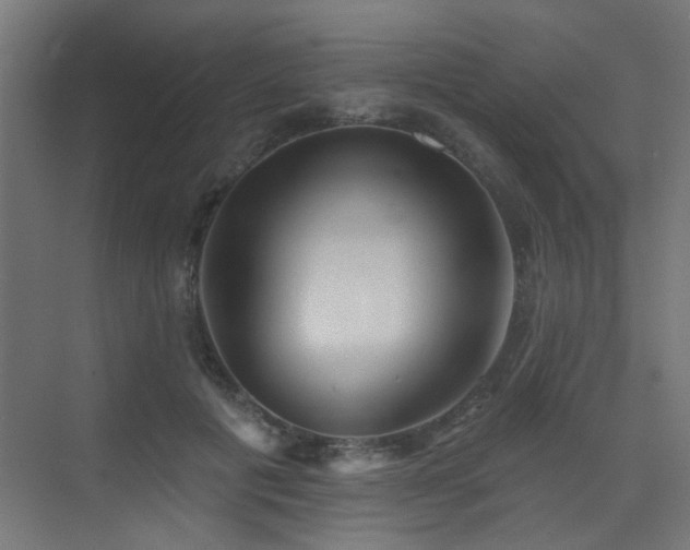 X0000072920601200607211103