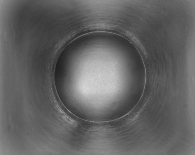 X0000072920625200607211102