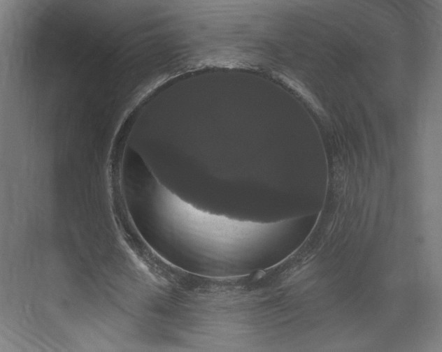 X0000072920626200607211102