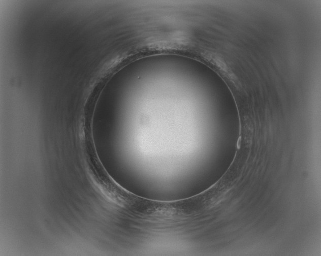 X0000072920631200607211102