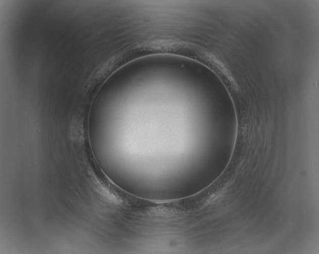 X0000072920633200607211102