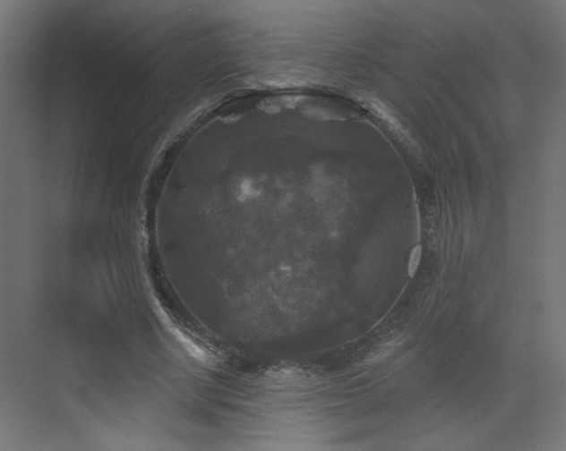 X0000072920634200607211102