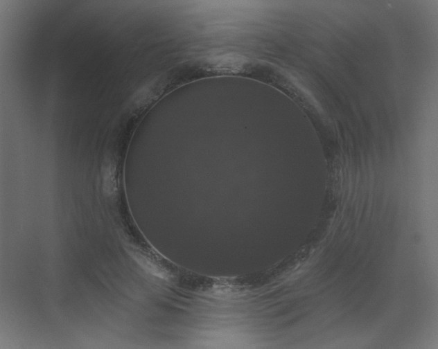 X0000072920641200607211102