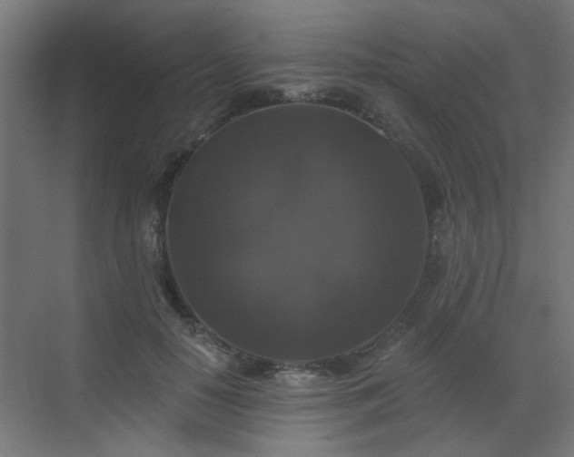 X0000072920650200607211102