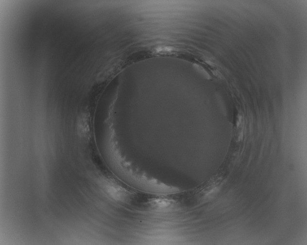 X0000072920654200607211102