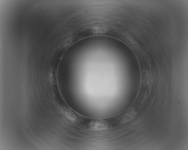 X0000072920655200607211102