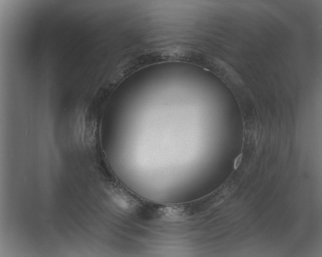 X0000072920660200607211102