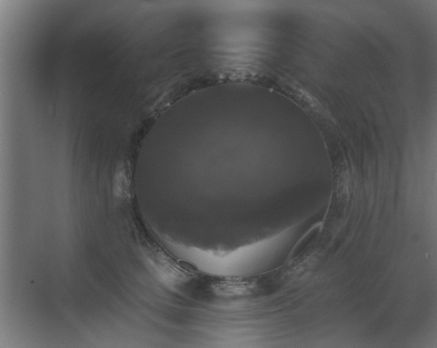 X0000072920661200607211102