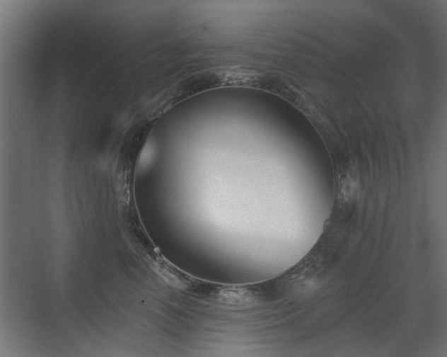 X0000072920666200607211102