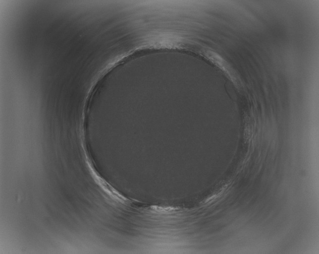 X0000072920677200607211102