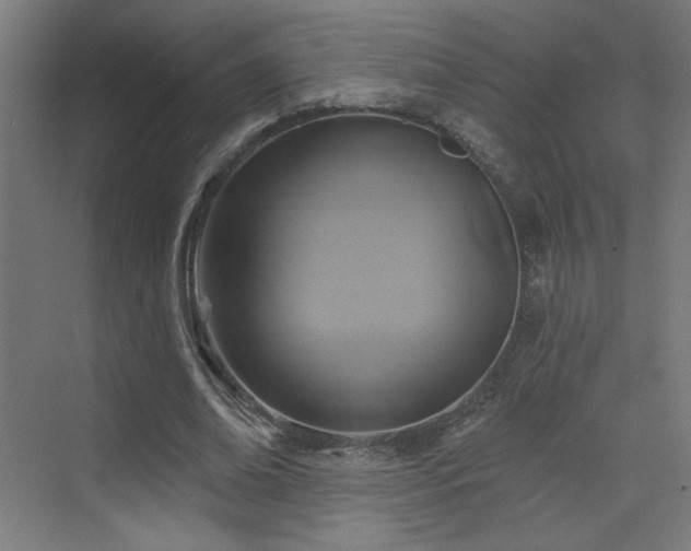 X0000072920678200607211102