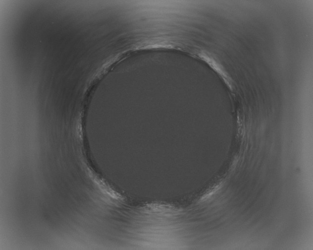 X0000072920681200607211102