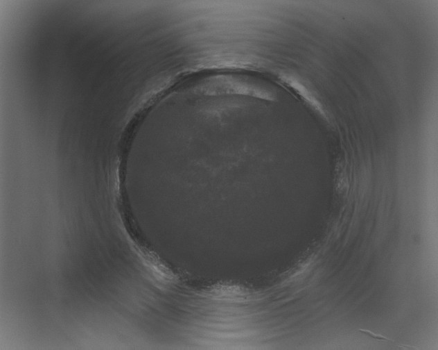 X0000072920685200607211101