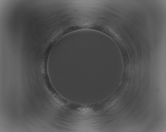 X0000072920689200607211101