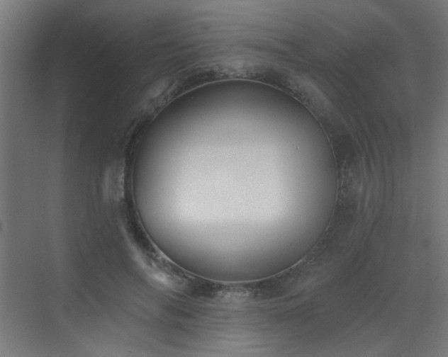 X0000072920694200607211101