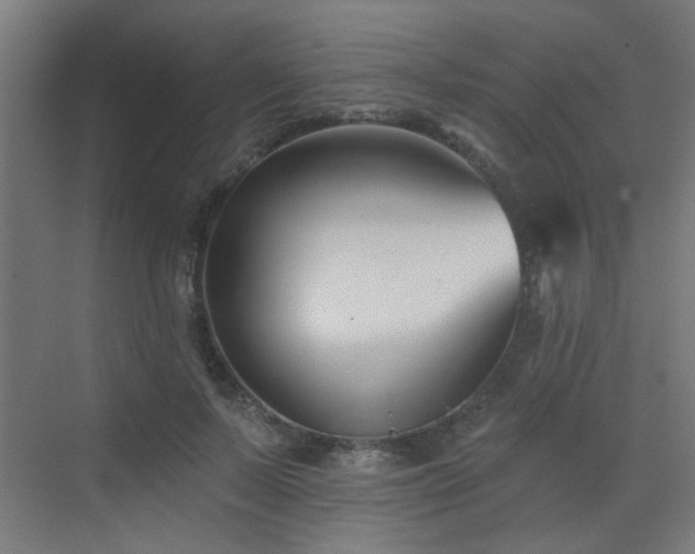 X0000072920695200607211101