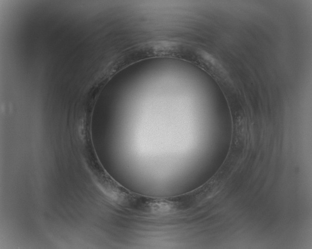 X0000072920698200607211101