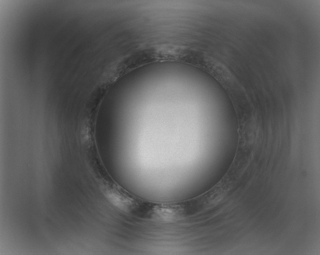 X0000072920706200607211101