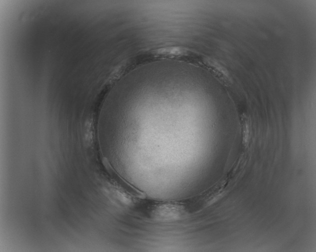 X0000072920708200607211101