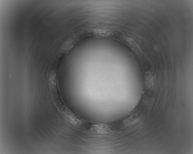 X0000072920713200607211101