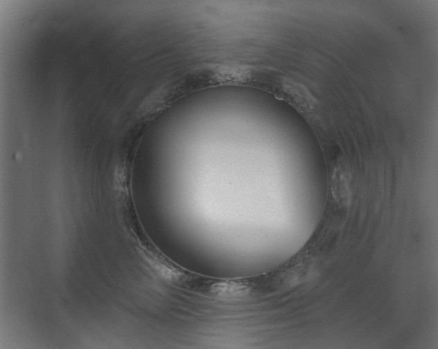 X0000072920714200607211101