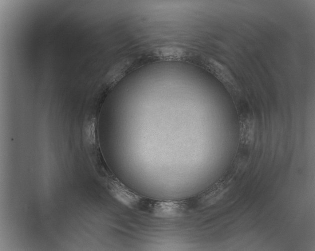 X0000072920717200607211101