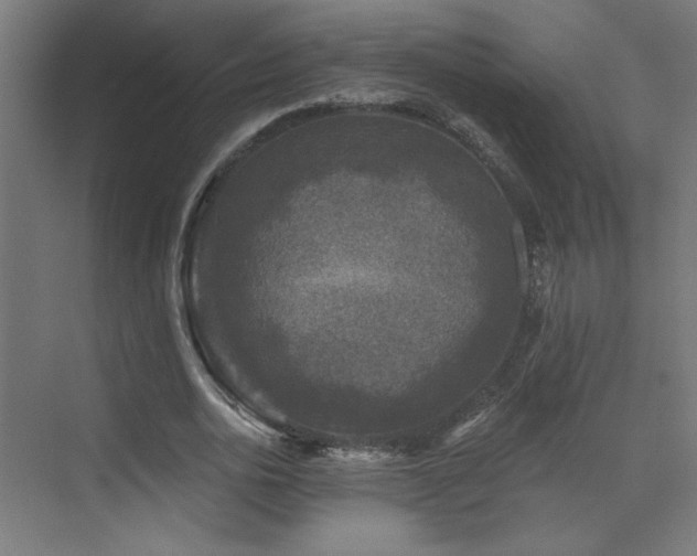 X0000072920726200607211100